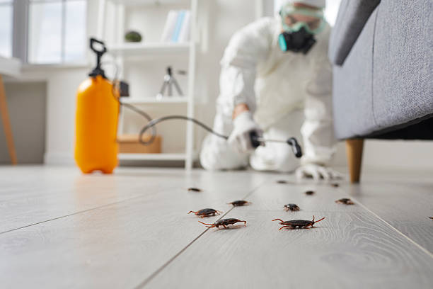 Commercial Kitchen Cockroach Control in North Bay Village